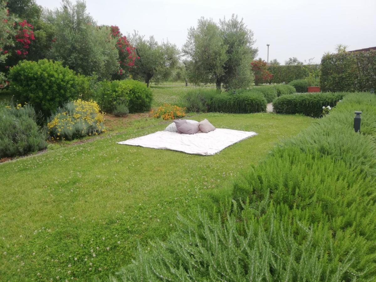 Il Casale Degli Ulivi - Agriturismo - Tenimenti Leone Lanuvio ภายนอก รูปภาพ
