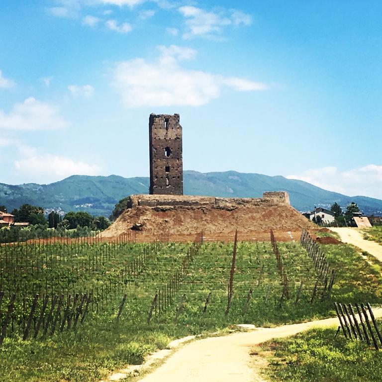 Il Casale Degli Ulivi - Agriturismo - Tenimenti Leone Lanuvio ภายนอก รูปภาพ