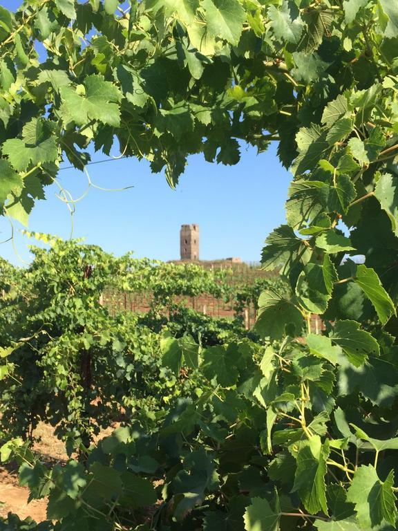 Il Casale Degli Ulivi - Agriturismo - Tenimenti Leone Lanuvio ภายนอก รูปภาพ
