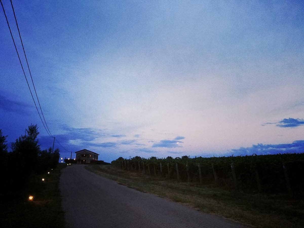 Il Casale Degli Ulivi - Agriturismo - Tenimenti Leone Lanuvio ภายนอก รูปภาพ